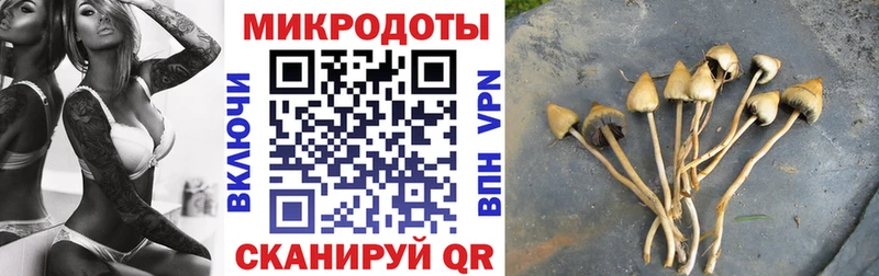 Псилоцибиновые грибы мицелий  Серов 